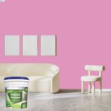 Exterior Emulsion Paint by Magic Paints – Durable protective finish in Light Beige shade