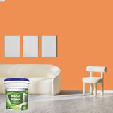 Exterior Emulsion Paint by Magic Paints – Durable protective finish in Light Beige shade
