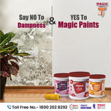 Interior Emulsion Paint by Magic Paints – Premium smooth finish for Hall Walls
