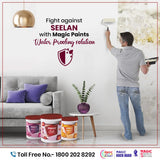 Interior Emulsion Paint by Magic Paints – Premium smooth finish for Hall Walls