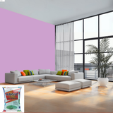 Magic Paints Acrylic Distemper premium interior wall paint offering excellent coverage, smooth matte finish, vibrant colors, easy application, and long-lasting durability for residential and commercial interiors.