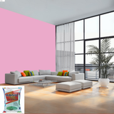 Magic Paints Acrylic Distemper premium interior wall paint offering excellent coverage, smooth matte finish, vibrant colors, easy application, and long-lasting durability for residential and commercial interiors.