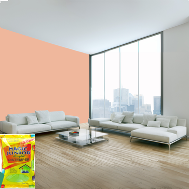 Magic Paints Junior Pouch Distemper economical interior wall paint offering excellent coverage, smooth matte finish, easy application, vibrant colors, and long-lasting durability for residential and commercial interiors.