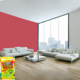 Magic Paints Junior Pouch Distemper economical interior wall paint offering excellent coverage, smooth matte finish, easy application, vibrant colors, and long-lasting durability for residential and commercial interiors.