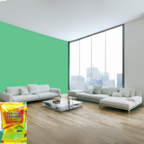 Magic Paints Junior Pouch Distemper economical interior wall paint offering excellent coverage, smooth matte finish, easy application, vibrant colors, and long-lasting durability for residential and commercial interiors.