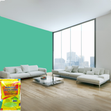 Magic Paints Junior Pouch Distemper economical interior wall paint offering excellent coverage, smooth matte finish, easy application, vibrant colors, and long-lasting durability for residential and commercial interiors.