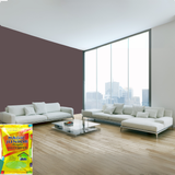 Magic Paints Junior Pouch Distemper economical interior wall paint offering excellent coverage, smooth matte finish, easy application, vibrant colors, and long-lasting durability for residential and commercial interiors.