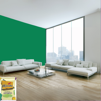 Ajooba Synthetic Distemper premium interior wall paint offering excellent coverage, smooth matte finish, vibrant colors, easy application, superior adhesion, and long-lasting durability for residential and commercial interiors.