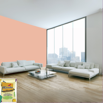 Ajooba Synthetic Distemper premium interior wall paint offering excellent coverage, smooth matte finish, vibrant colors, easy application, superior adhesion, and long-lasting durability for residential and commercial interiors.