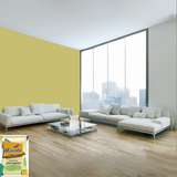 Ajooba Synthetic Distemper premium interior wall paint offering excellent coverage, smooth matte finish, vibrant colors, easy application, superior adhesion, and long-lasting durability for residential and commercial interiors.