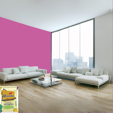 Ajooba Synthetic Distemper premium interior wall paint offering excellent coverage, smooth matte finish, vibrant colors, easy application, superior adhesion, and long-lasting durability for residential and commercial interiors.