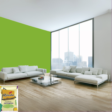 Ajooba Synthetic Distemper premium interior wall paint offering excellent coverage, smooth matte finish, vibrant colors, easy application, superior adhesion, and long-lasting durability for residential and commercial interiors.