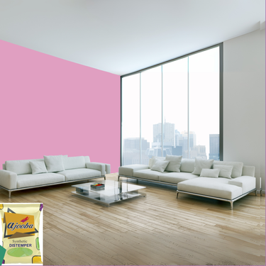Ajooba Synthetic Distemper premium interior wall paint offering excellent coverage, smooth matte finish, vibrant colors, easy application, superior adhesion, and long-lasting durability for residential and commercial interiors.
