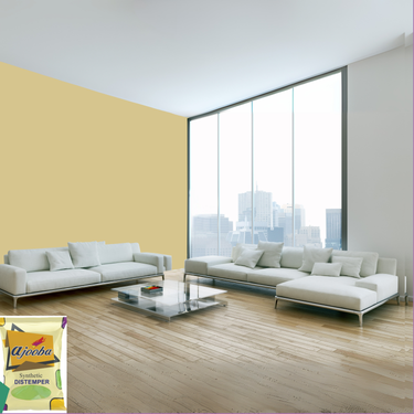 Ajooba Synthetic Distemper premium interior wall paint offering excellent coverage, smooth matte finish, vibrant colors, easy application, superior adhesion, and long-lasting durability for residential and commercial interiors.