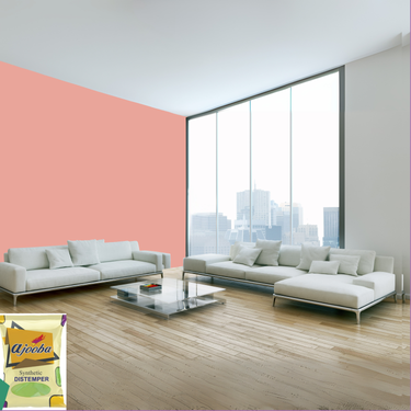 Ajooba Synthetic Distemper premium interior wall paint offering excellent coverage, smooth matte finish, vibrant colors, easy application, superior adhesion, and long-lasting durability for residential and commercial interiors.