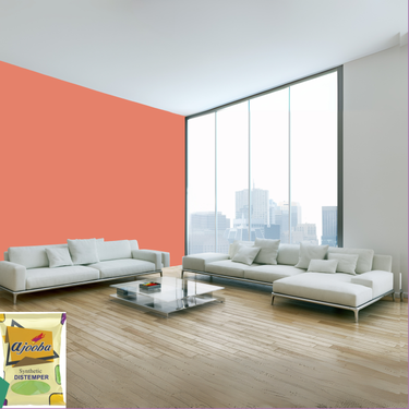 Ajooba Synthetic Distemper premium interior wall paint offering excellent coverage, smooth matte finish, vibrant colors, easy application, superior adhesion, and long-lasting durability for residential and commercial interiors.