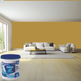 Magic Paints XT Pure Exterior Emulsion premium acrylic exterior wall paint offering excellent coverage, superior weather resistance, UV protection, long-lasting color retention, water resistance, and a smooth durable finish for residential and commercial buildings.