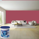 Magic Paints XT Pure Exterior Emulsion premium acrylic exterior wall paint offering excellent coverage, superior weather resistance, UV protection, long-lasting color retention, water resistance, and a smooth durable finish for residential and commercial buildings.