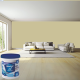 Magic Paints XT Pure Exterior Emulsion premium acrylic exterior wall paint offering excellent coverage, superior weather resistance, UV protection, long-lasting color retention, water resistance, and a smooth durable finish for residential and commercial buildings.