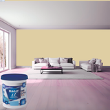 Magic Paints XT Pure Exterior Emulsion premium acrylic exterior wall paint offering excellent coverage, superior weather resistance, UV protection, long-lasting color retention, water resistance, and a smooth durable finish for residential and commercial buildings.