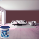 Magic Paints XT Pure Exterior Emulsion premium acrylic exterior wall paint offering excellent coverage, superior weather resistance, UV protection, long-lasting color retention, water resistance, and a smooth durable finish for residential and commercial buildings.