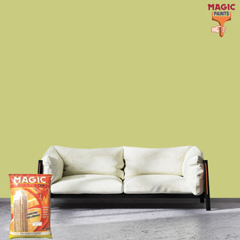 Magic Cem Plus Decorative Waterproof Cement Paint - Economic Exterior Wall Finish