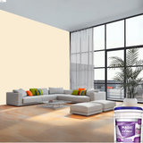 Magic Paints XT Max Premium Exterior Emulsion premium acrylic exterior wall paint offering excellent coverage, superior weather resistance, UV protection, water resistance, fade-resistant color retention, and a smooth, durable finish for residential and commercial buildings.