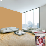 Magic Paints Silk Glomax Hi-Sheen Luxury Interior Emulsion delivers a smooth, elegant silky finish with excellent coverage, superior washability, long-lasting color retention, and durable protection for premium interior walls.