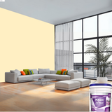 Magic Paints XT Max Premium Exterior Emulsion premium acrylic exterior wall paint offering excellent coverage, superior weather resistance, UV protection, water resistance, fade-resistant color retention, and a smooth, durable finish for residential and commercial buildings.