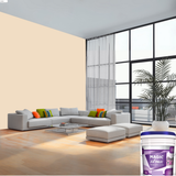 Magic Paints XT Max Premium Exterior Emulsion premium acrylic exterior wall paint offering excellent coverage, superior weather resistance, UV protection, water resistance, fade-resistant color retention, and a smooth, durable finish for residential and commercial buildings.
