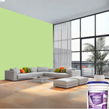 Magic Paints XT Max Premium Exterior Emulsion premium acrylic exterior wall paint offering excellent coverage, superior weather resistance, UV protection, water resistance, fade-resistant color retention, and a smooth, durable finish for residential and commercial buildings.