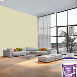 Magic Paints XT Max Premium Exterior Emulsion premium acrylic exterior wall paint offering excellent coverage, superior weather resistance, UV protection, water resistance, fade-resistant color retention, and a smooth, durable finish for residential and commercial buildings.