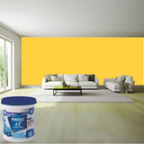 Magic Paints XT Pure Exterior Emulsion premium acrylic exterior wall paint offering excellent coverage, superior weather resistance, UV protection, long-lasting color retention, water resistance, and a smooth durable finish for residential and commercial buildings.