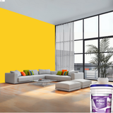Magic Paints XT Max Premium Exterior Emulsion premium acrylic exterior wall paint offering excellent coverage, superior weather resistance, UV protection, water resistance, fade-resistant color retention, and a smooth, durable finish for residential and commercial buildings.