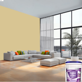 Magic Paints XT Max Premium Exterior Emulsion premium acrylic exterior wall paint offering excellent coverage, superior weather resistance, UV protection, water resistance, fade-resistant color retention, and a smooth, durable finish for residential and commercial buildings.