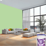 Magic Paints XT Max Premium Exterior Emulsion premium acrylic exterior wall paint offering excellent coverage, superior weather resistance, UV protection, water resistance, fade-resistant color retention, and a smooth, durable finish for residential and commercial buildings.