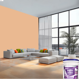 Magic Paints XT Max Premium Exterior Emulsion premium acrylic exterior wall paint offering excellent coverage, superior weather resistance, UV protection, water resistance, fade-resistant color retention, and a smooth, durable finish for residential and commercial buildings.