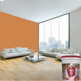 Magic Paints Silk Glomax Hi-Sheen Luxury Interior Emulsion delivers a smooth, elegant silky finish with excellent coverage, superior washability, long-lasting color retention, and durable protection for premium interior walls.