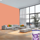 Magic Paints XT Max Premium Exterior Emulsion premium acrylic exterior wall paint offering excellent coverage, superior weather resistance, UV protection, water resistance, fade-resistant color retention, and a smooth, durable finish for residential and commercial buildings.