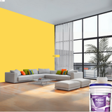 Magic Paints XT Max Premium Exterior Emulsion premium acrylic exterior wall paint offering excellent coverage, superior weather resistance, UV protection, water resistance, fade-resistant color retention, and a smooth, durable finish for residential and commercial buildings.