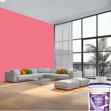 Magic Paints XT Max Premium Exterior Emulsion premium acrylic exterior wall paint offering excellent coverage, superior weather resistance, UV protection, water resistance, fade-resistant color retention, and a smooth, durable finish for residential and commercial buildings.
